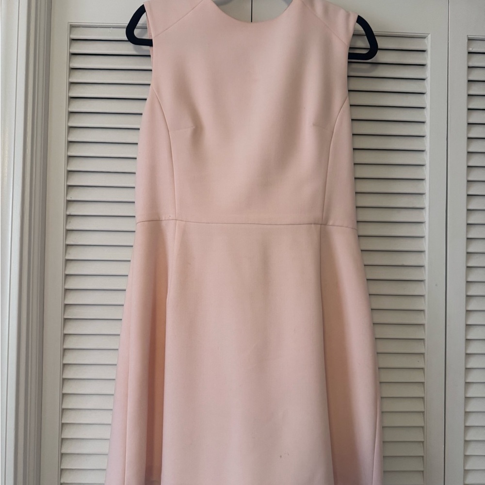 French Connection Blush Mini Dress